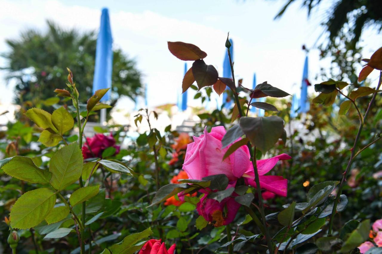 Hotel Majestic Lido di Jesolo Luaran gambar
